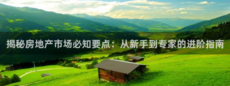 J9国际网站