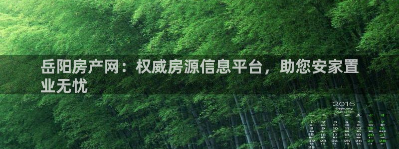 九游会官网网址是多少