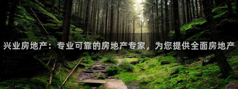 九游会J9官网入口