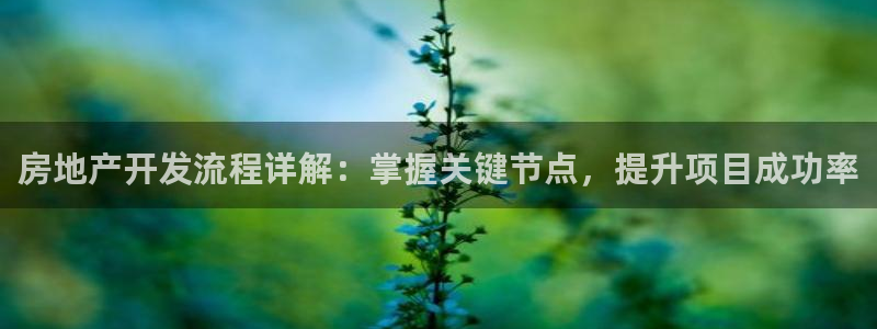 j9九游国际真人游戏第一品牌